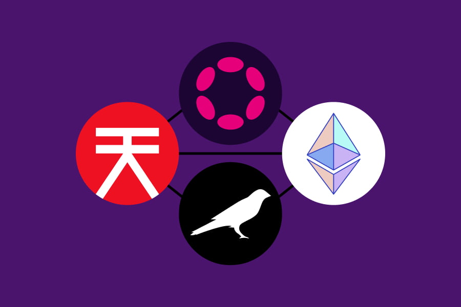 Chasing Chaos and Joining the DOTs with SORA cover image